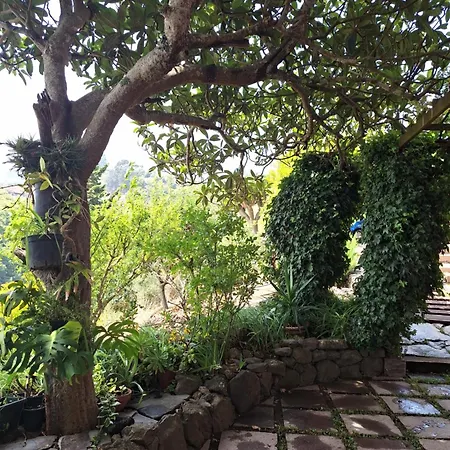 Con Piscina Privada El Roble Moya (Gran Canaria)