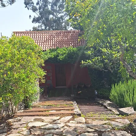 Landsted Con Piscina Privada El Roble Moya (Gran Canaria)