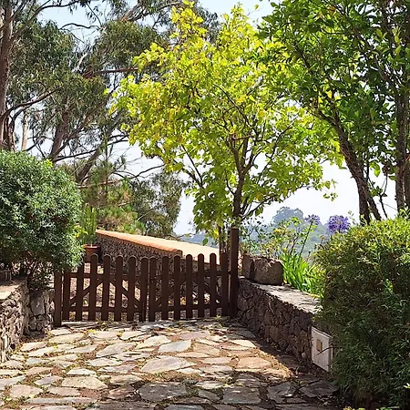 Con Piscina Privada El Roble * Moya (Gran Canaria)