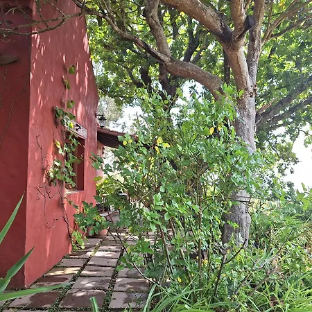 Con Piscina Privada El Roble * Moya (Gran Canaria)