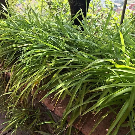 Con Piscina Privada El Roble Εξοχικό σπίτι