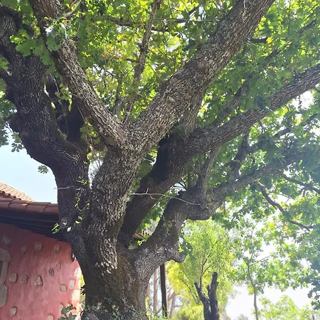 Εξοχικό σπίτι Con Piscina Privada El Roble *