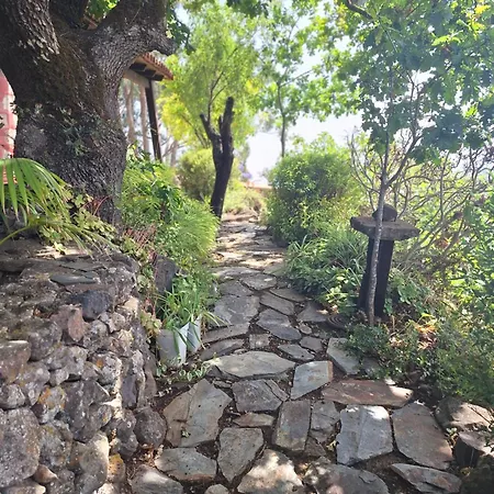 Con Piscina Privada El Roble * Moya (Gran Canaria)