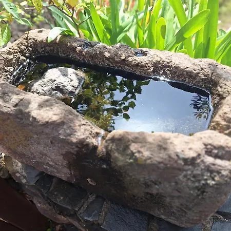 Con Piscina Privada El Roble Εξοχικό σπίτι